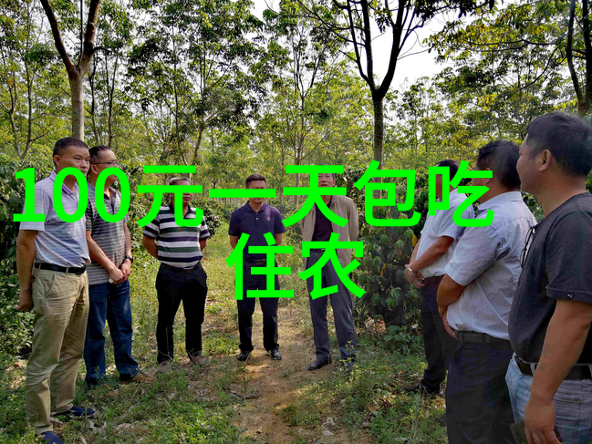 河北自驾游我和我的小伙伴们的河北探险日记