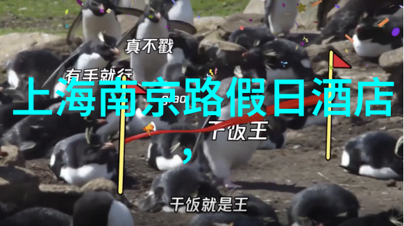 江南水乡探秘寻觅南通的美丽篇章