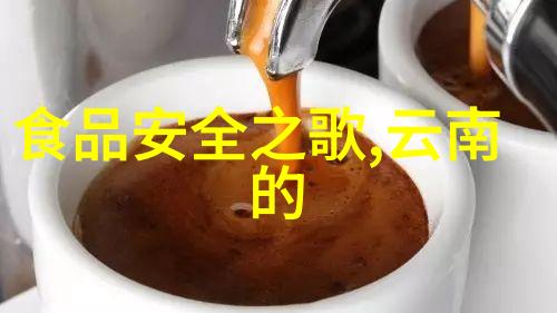 选择合适的公路自行车揭秘骑行快感之旅
