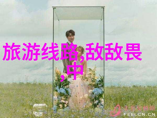 校园风华青春留声记