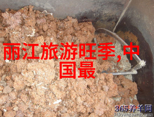 生活节奏加速一小时骑20公里的挑战