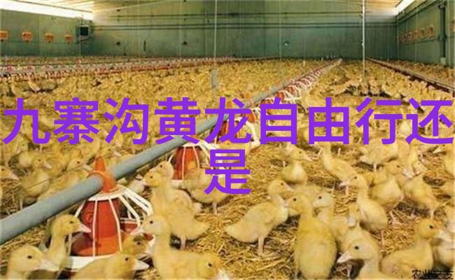 蓝月谷漫步一场与时光共度的旅行
