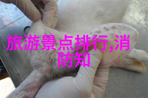 北京周边自驾游探秘北京周边美丽景区自驾游经历