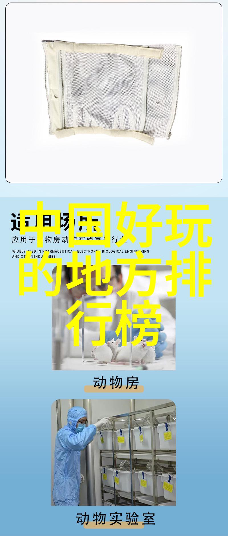 东南亚资政官的权力探秘西安美食攻略在社会中的应用