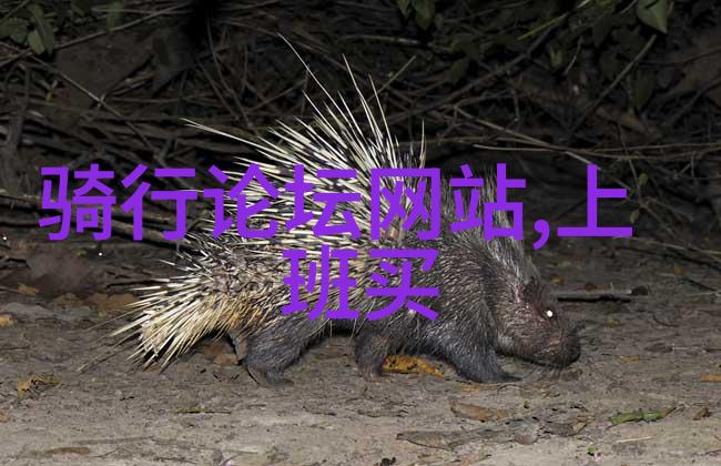 海滨休闲指南寻找烟台最具浪漫气息的住宿秘境