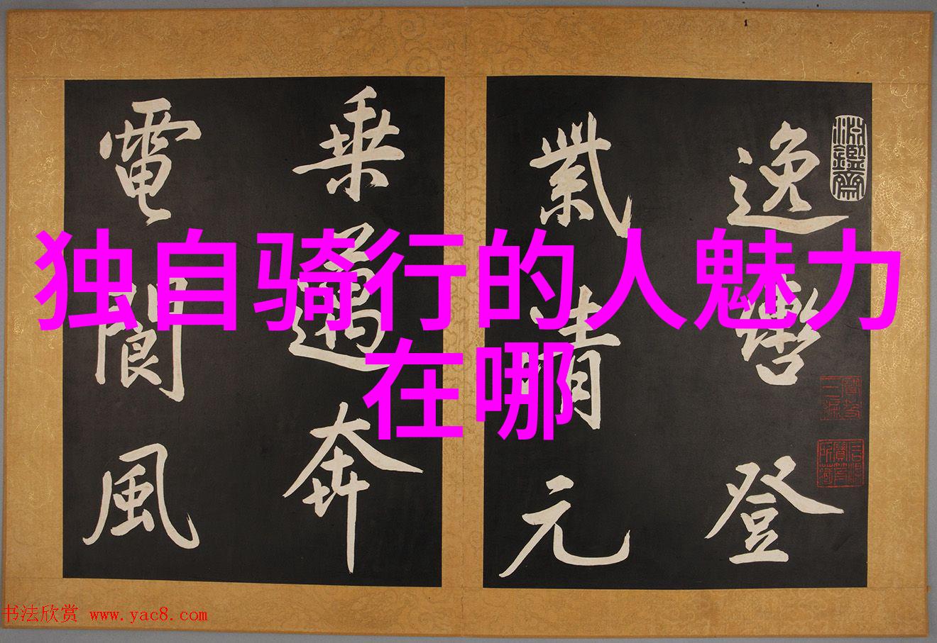 乌镇旅游攻略自由行你知道如何高效享受一日游吗