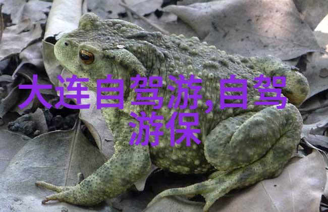 贵阳旅游必游景点全解析探秘风情独特的羊城之都