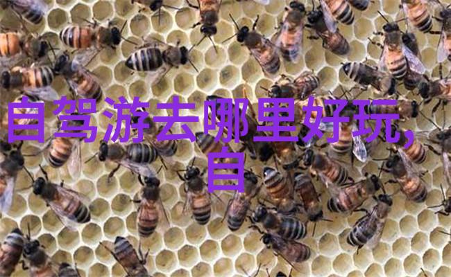 中国最美旅游景点-探秘大熊猫的家园四川雅安奇迹之旅
