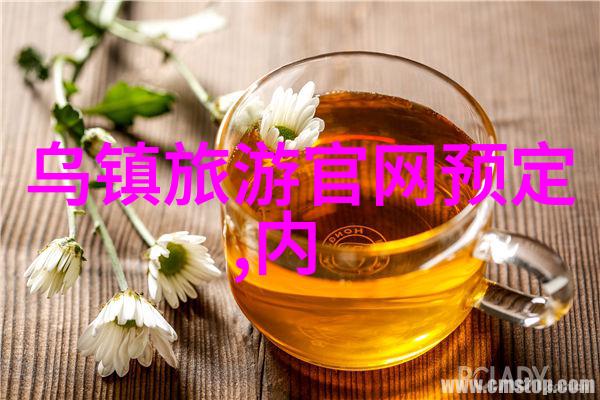 2022年出国旅行的可能疫情对国际旅游业的影响与未来展望