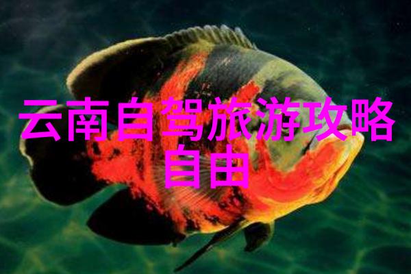 汽车自驾游 - 懂行者探索美景追逐自由的旅程