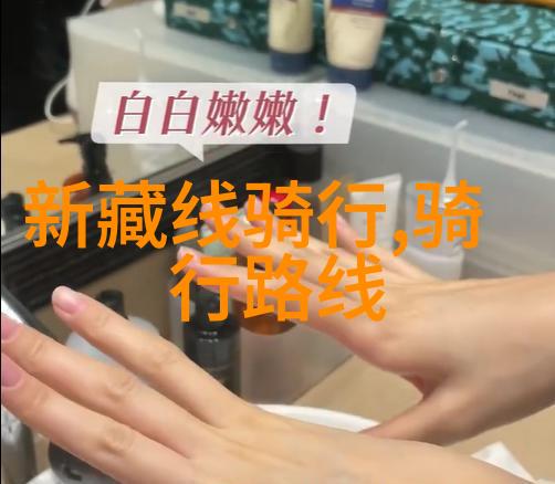 旅行伴侣选择旅游应用程序哪个最受欢迎