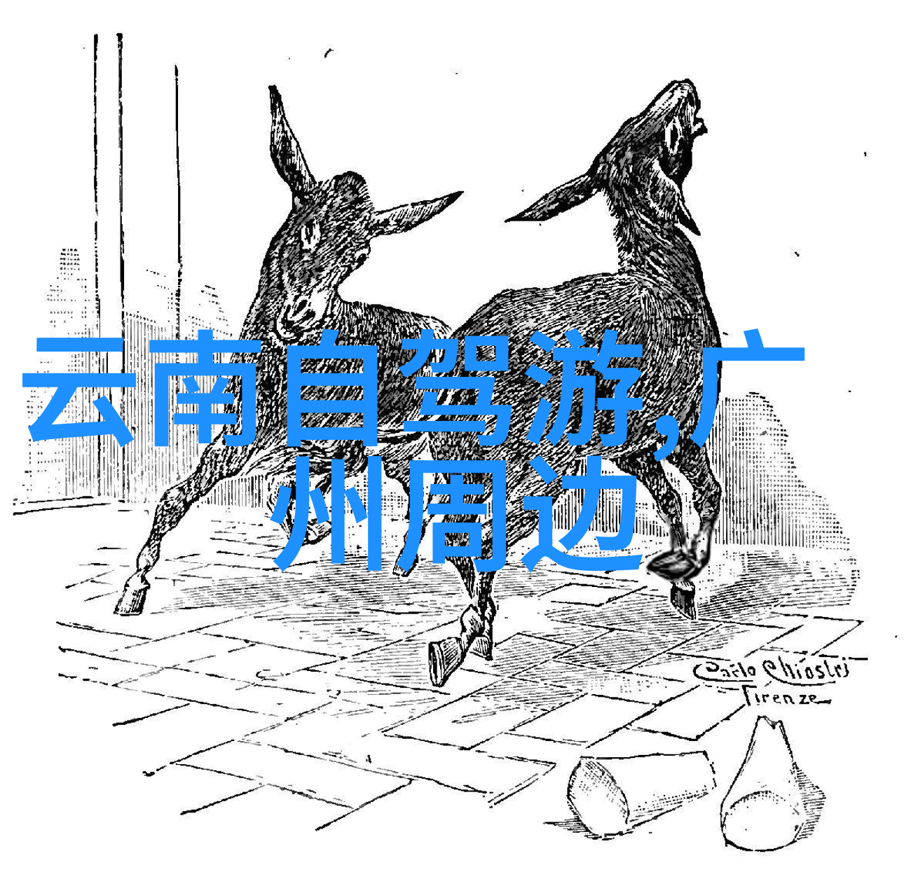 旅行我是如何在云南遇见自己的那片天空的