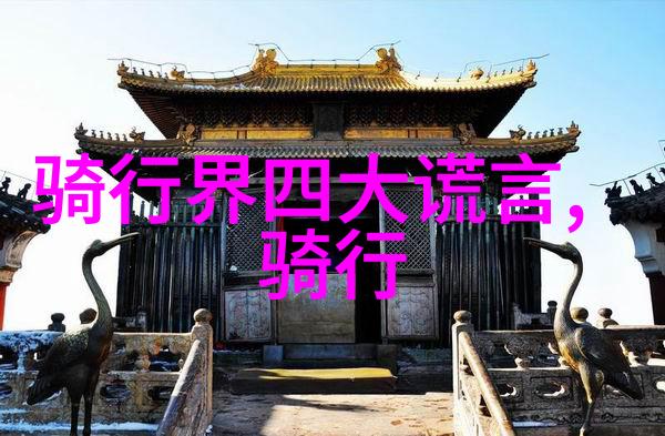 探索奇妙的海边世界