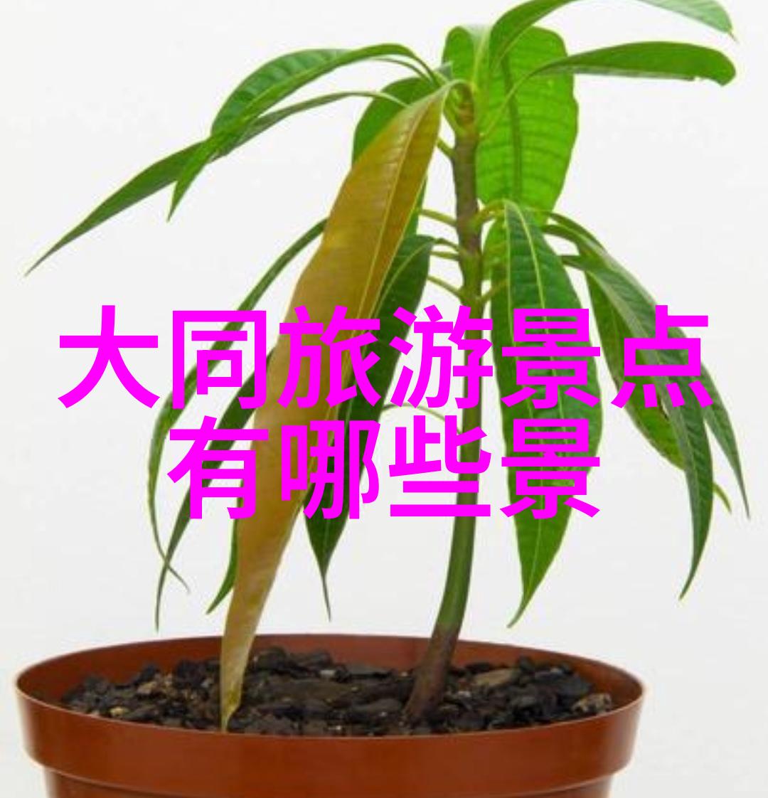 生态保护区深入自然怀抱感受大自然纯净气息八月份生态旅游推荐