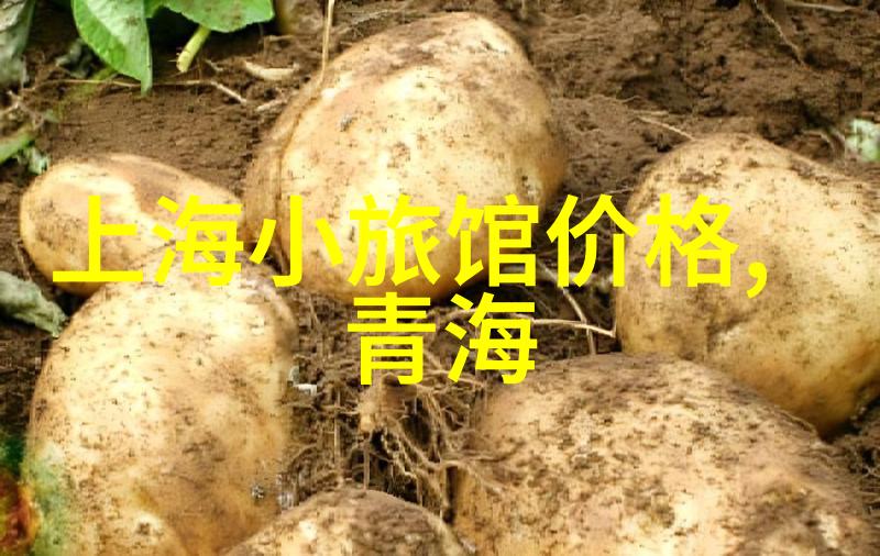 峨眉山徒步路线推荐体验自然之美