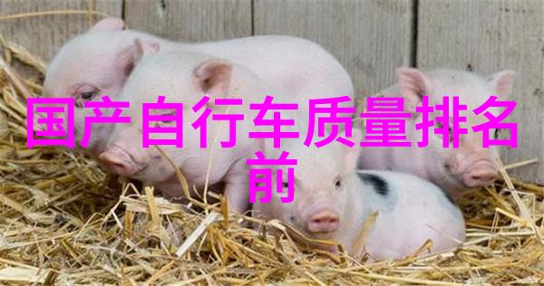 如何在有限的字数内展开深刻的主题思考