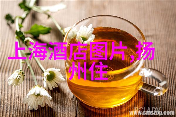 周边自驾游亲子探秘我们一起去哪儿玩