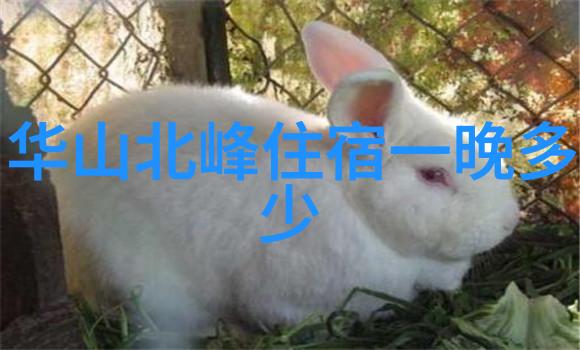 北京酒馆中哪些地方最有趣在这座古老而又现代的城市里寻找那些让人心旷神怡的好去处就像一场探险般令人兴奋