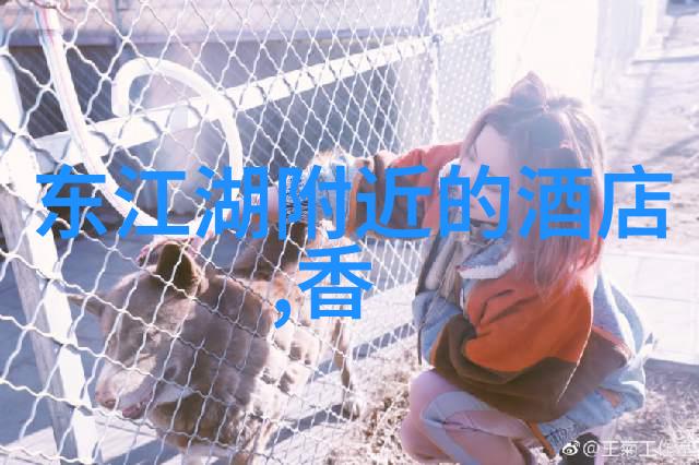 中国旅游排行榜人气榜2023我来告诉你这年头哪些地方最受欢了