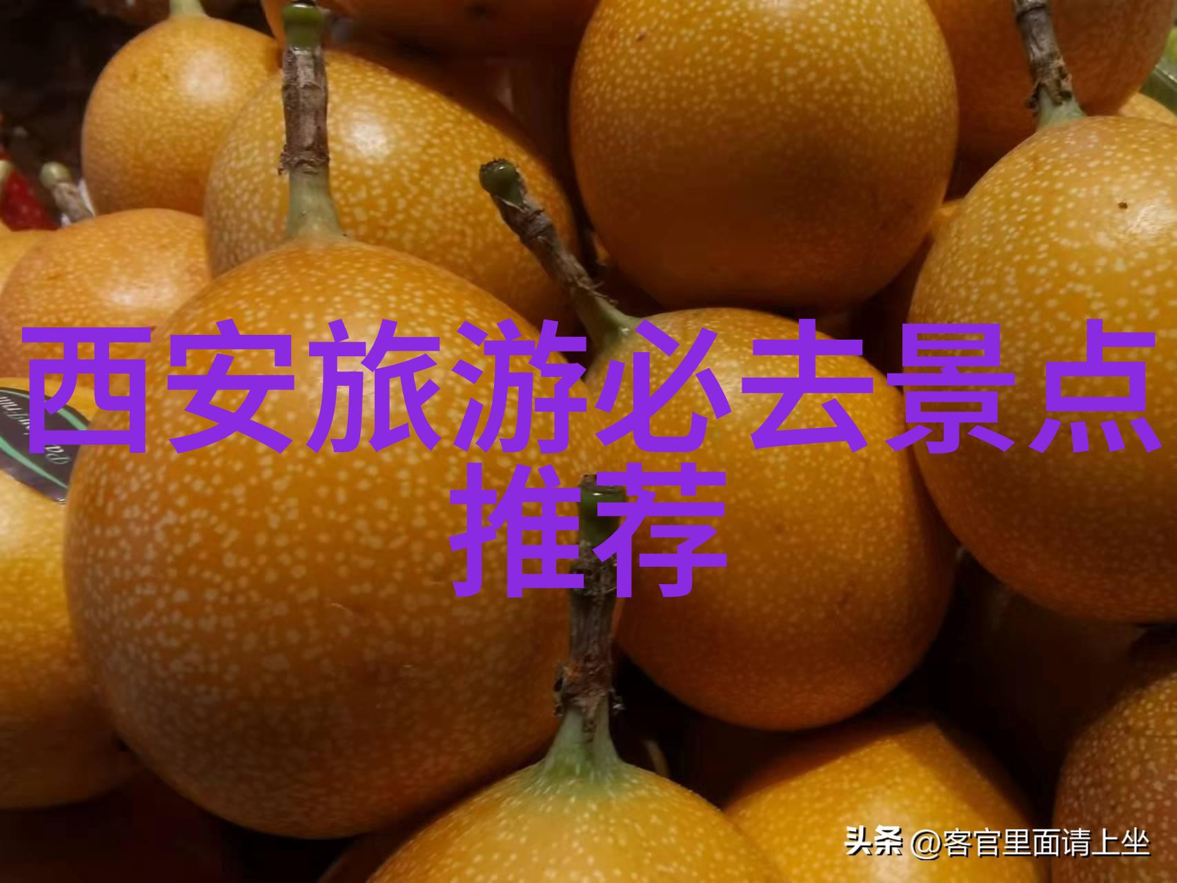 随着大渡口码头脚步走进曾经军港今朝商港的变迁史