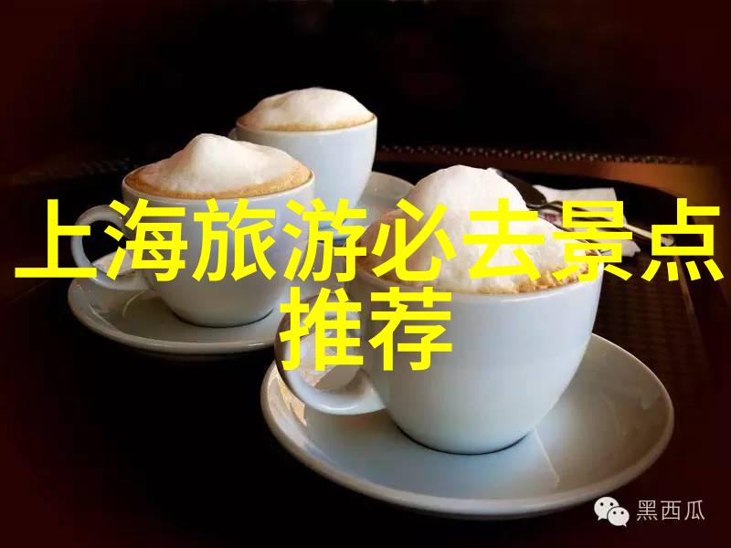 你知道吗在南京旅行时你是不是也想像云南旅游职业学院的学生一样深入了解这座城市的每一个角落来吧让我们一