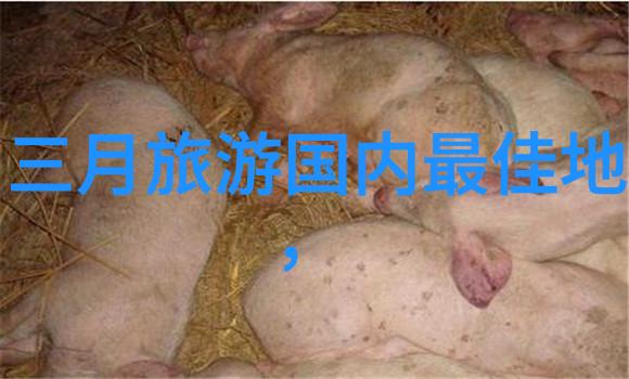 中山十大美食精选广州美食之旅