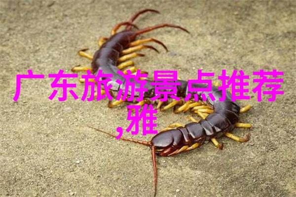 苏州必游景点探索玉蜓公园的美丽物品世界