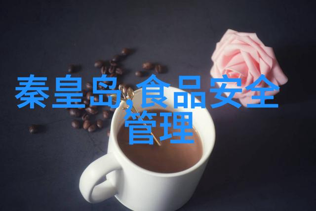 高速公路征服者如何选择合适的公路自行车