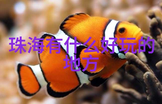 31省区市疫情最新消息我来告诉你全方位关注每个角落的防疫动态