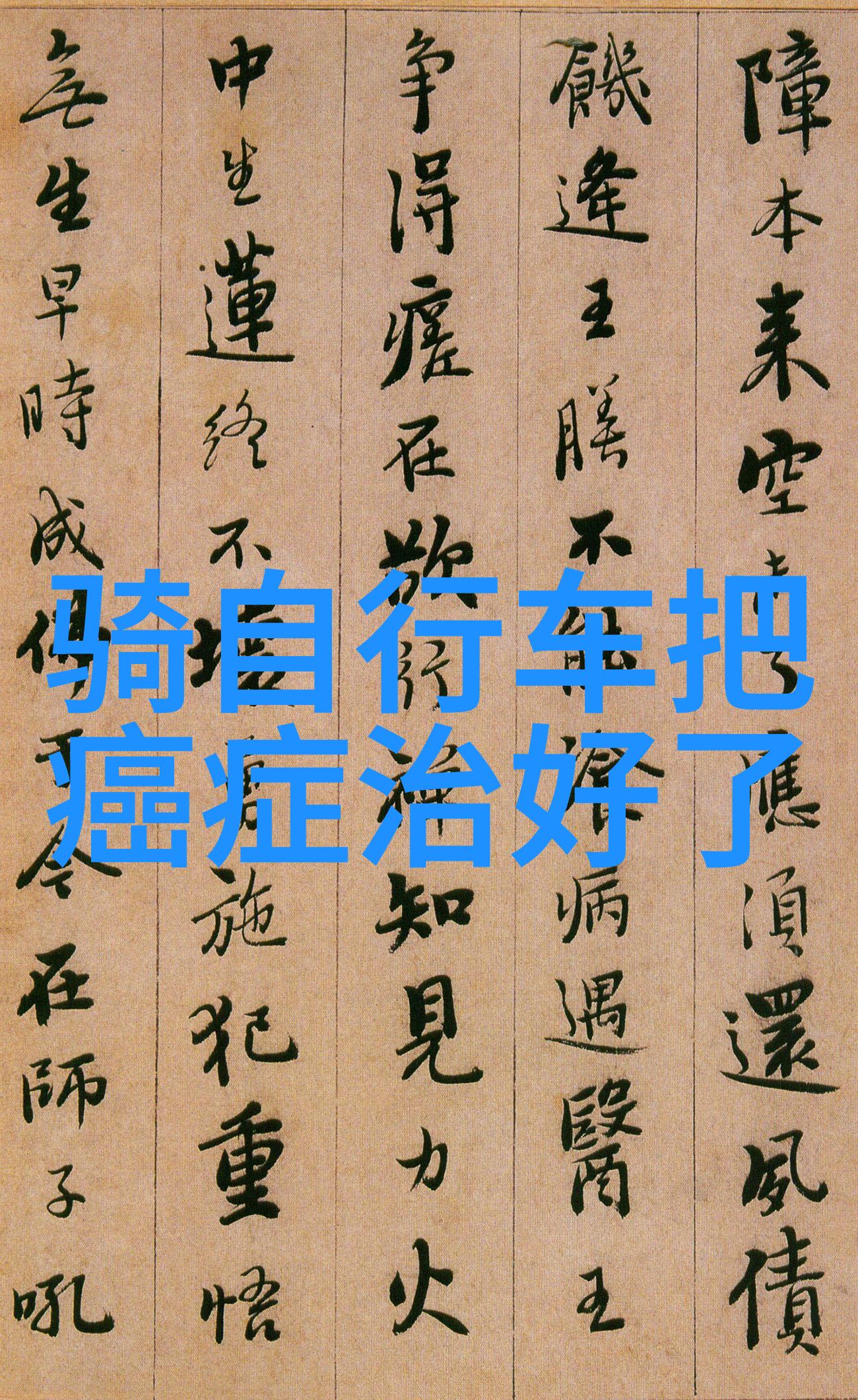 全国有名的小吃街有哪些-探秘中国美食的街头故事全国十大小吃街指南