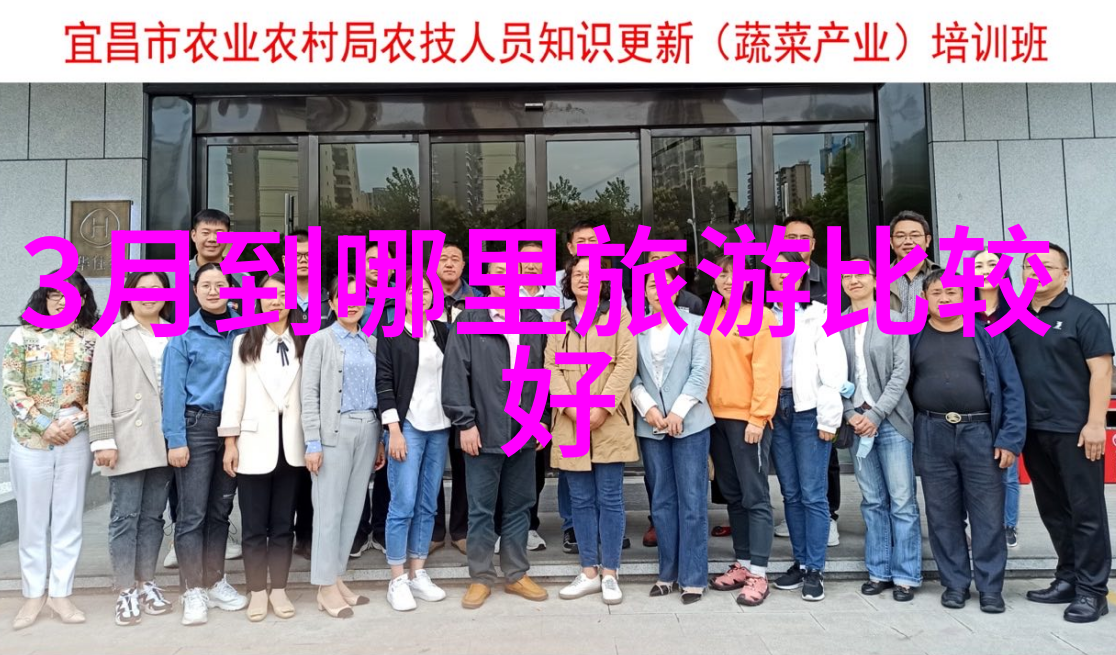 战神狼婿全文免费阅读古风仙侠奇缘