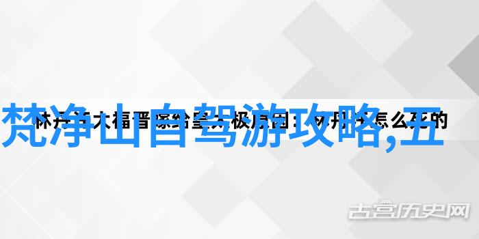 入门公路自行车推荐-初学者友好选择合适的公路自行车入门之旅