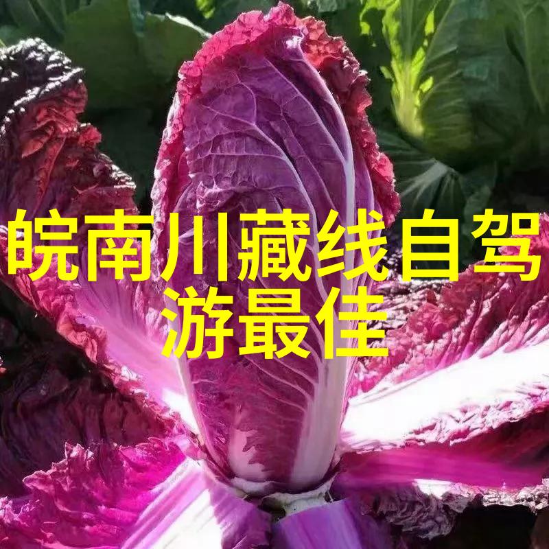 夕阳红老年人旅游湘江欢乐海洋公园等你开启奇妙之旅