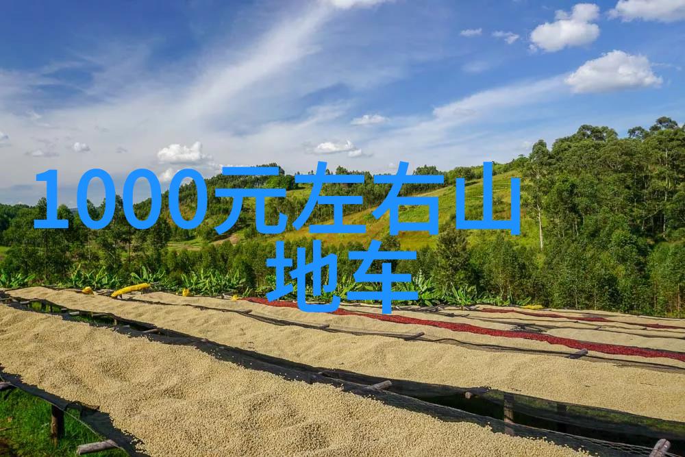 儿童乐园户外活动多彩童年