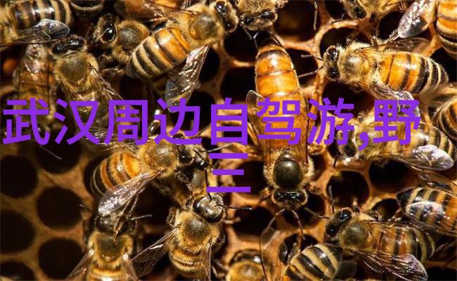 夏日逃离炎热最佳海边度假目的地推荐