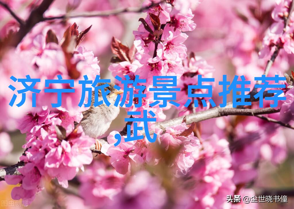 赣州旅行指南找寻理想的住宿天堂