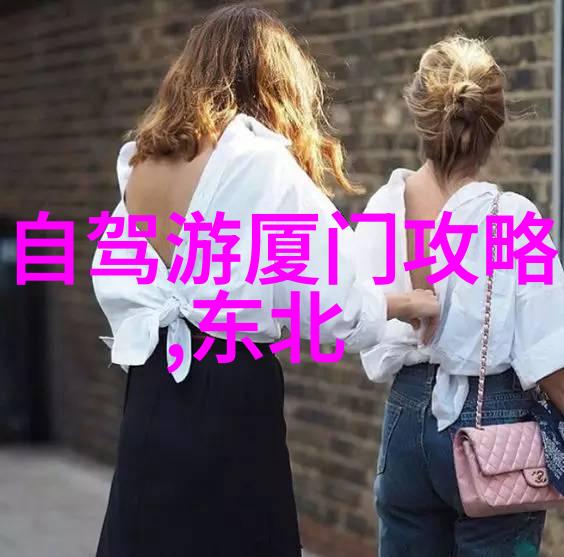 超越界限跨国自驾游探秘异域风情