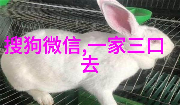宁波到贵阳自驾游人生历险记西北旅游攻略