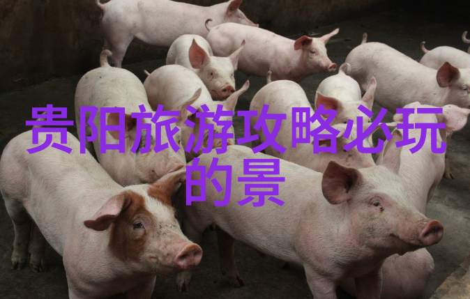 翻滚吧如何在极速骑行4中轻松变身中文小达人