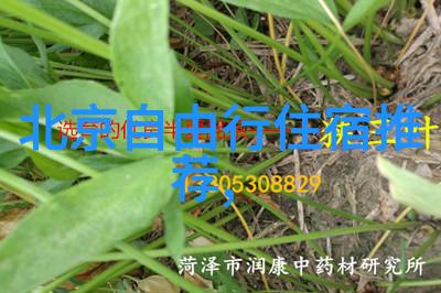 上网人生揭秘坐在屏幕前做的那些不为人知的视频艺术