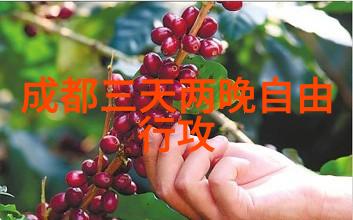 杭州美食巡礼10款小吃绝不能错过的经典选择