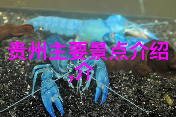 爆笑挑战电竞秀场新型年轻人娱乐项目盛宴