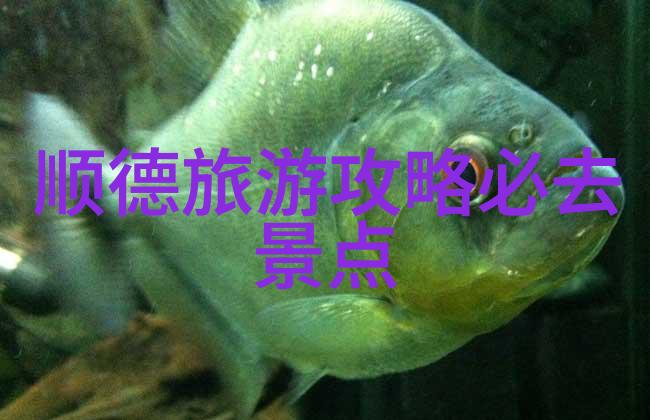 曲阜旅游景点研究探索儒家文化遗产与当代游览价值