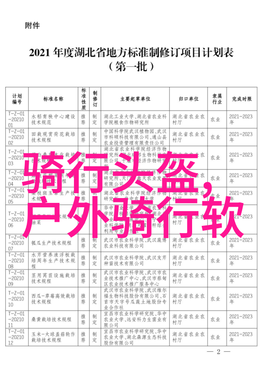 四年级下册作文探索童年夏日的欢乐时光