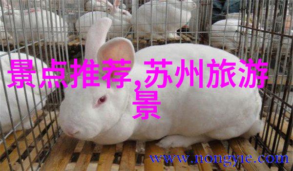 超越常规发现独特之处挑战新路径上的无限可能与惊喜