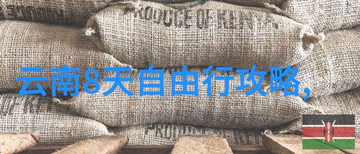 广西旅游我在广西的惊喜冒险从桂林山水甲天下到阳朔风景新篇章