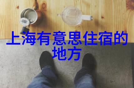 创造共享空间分析如何让不同类型的人共同享受城市环境