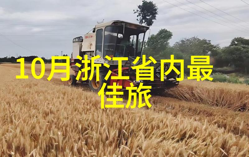 如果遇到突发情况在梵净山求助于专业服务会更好吗