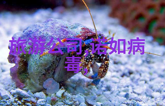 春暖花开的云南行最佳旅行月份探秘