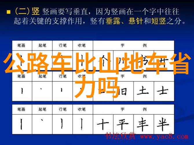 女性骑自行车的健康益处多多活力四射心血管系统强健